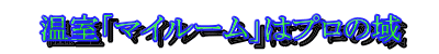 hu}C[v̓v̈h